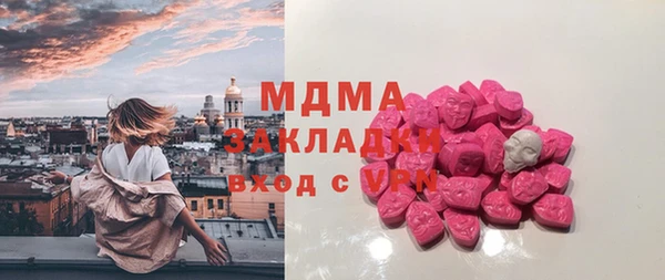 индика Оленегорск