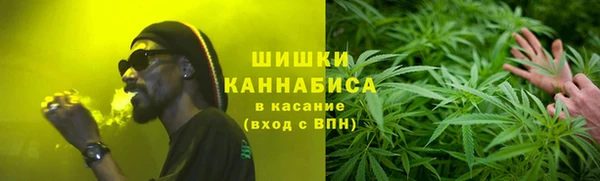 стаф Сясьстрой