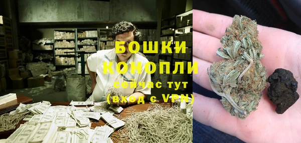 индика Оленегорск