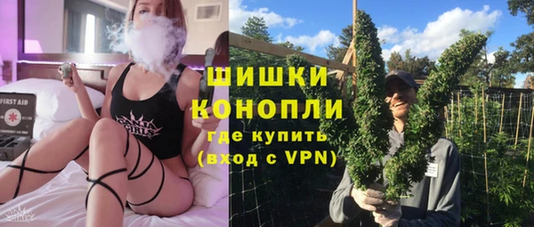 дмт Тавда