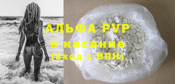 стаф Сясьстрой