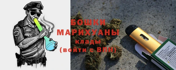стаф Сясьстрой