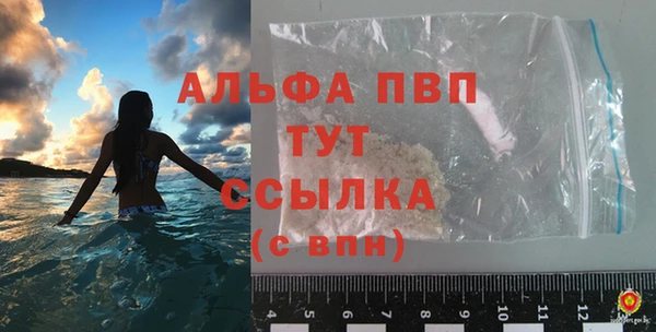стаф Сясьстрой