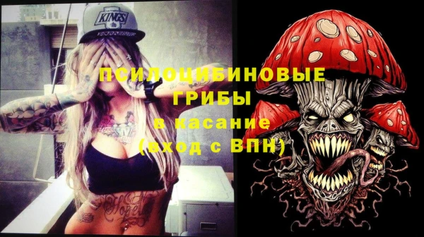 хмурый Окуловка